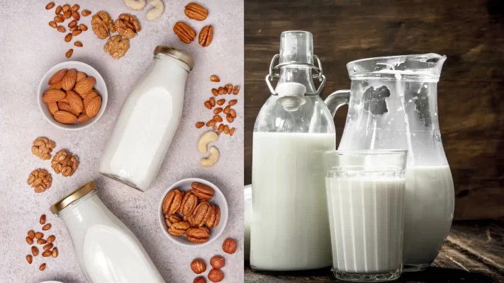 Sữa Hạt Và Sữa Động Vật: 5 Khác Biệt Quan Trọng Bạn Cần Biết