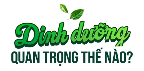 Dinh Dưỡng Cá Nhân Hóa - Tương Lai Sức Khỏe Việt 2025