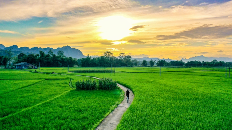 99+ STT bình yên hay nhất giúp tìm lại sự an yên trong tâm hồn