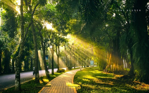 Nguyên Xuân Legend – nơi khởi nguồn lối sống cân bằng thân tâm trí.
