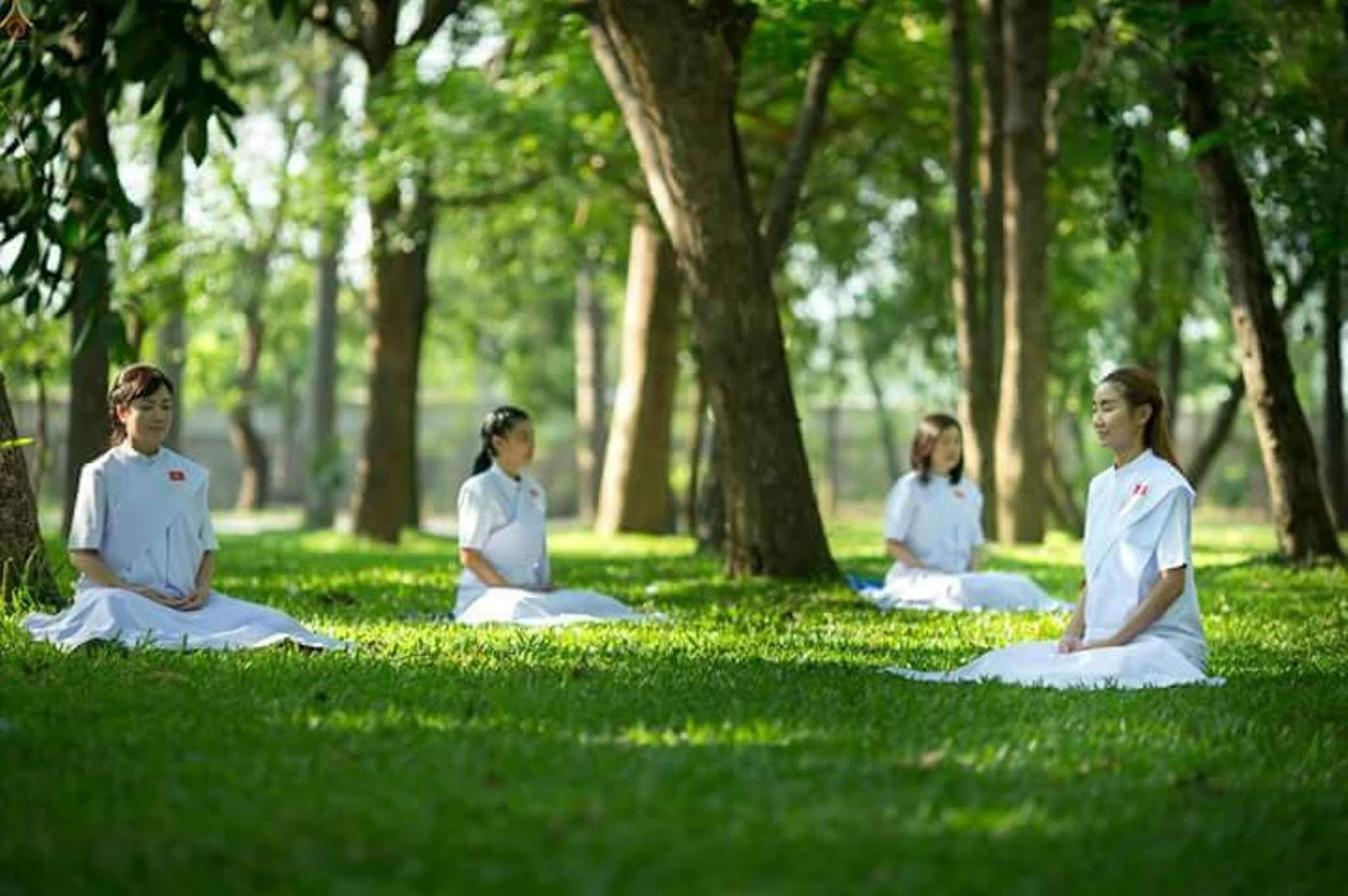 Thiền Giữa Đời Thường: “trú xứ nào thích hợp để hành thiền”?