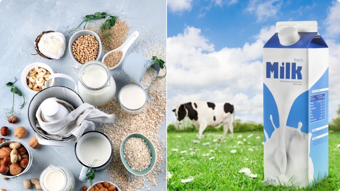 Kết hợp sữa hạt và sữa động vật hợp lý để tối ưu dinh dưỡng.6. Góc nhìn từ chuyên gia dinh dưỡng tại Nguyên Xuân Legend