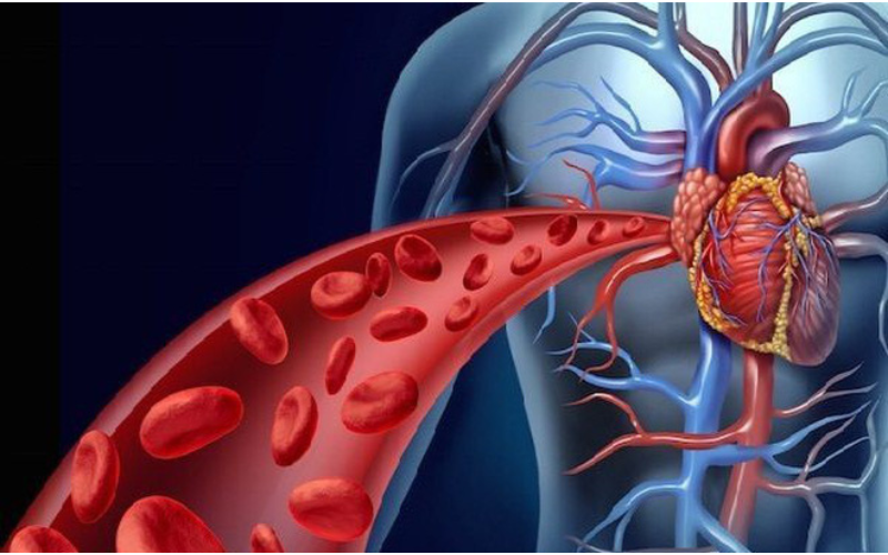 Tuần hoàn máu được cải thiện nhờ xông năng lượng, giúp cơ thể phụ nữ sau sinh phục hồi nhanh hơn.