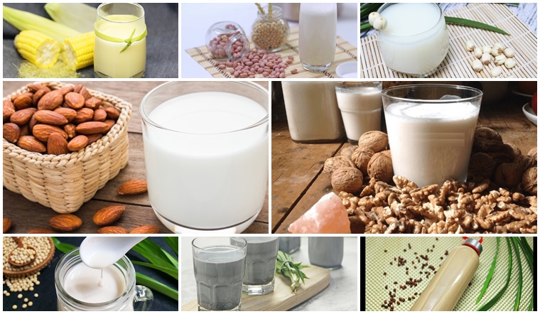 Có các loại sữa hạt nào? Loại nào là bổ dưỡng nhất cho sức khỏe?