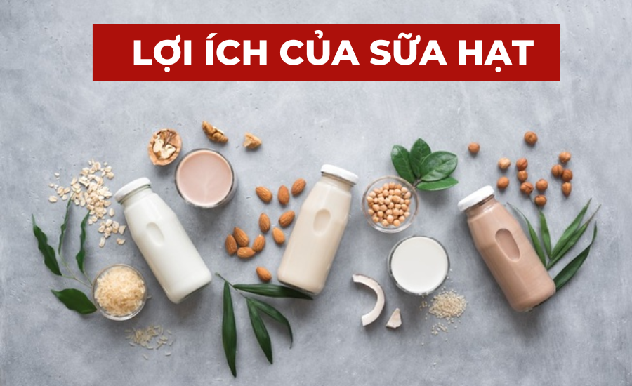 Sữa hạt là gì? Những lợi ích của sữa hạt có thể bạn chưa biết