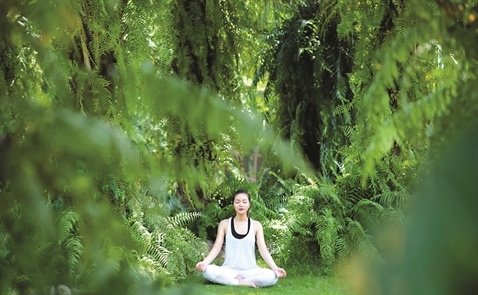 Thiền hương 
