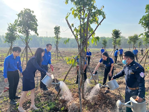 Tham gia các hoạt động cộng đồng giúp bạn tìm lại sự bình yên và ý nghĩa cuộc sống.