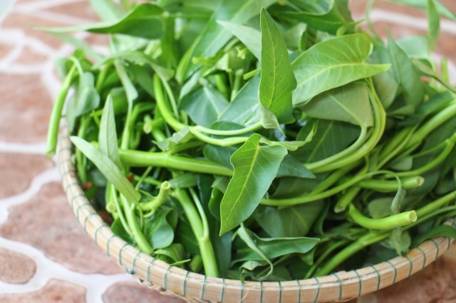 Chọn rau tươi ngon là bước đầu tiên để giữ dinh dưỡng