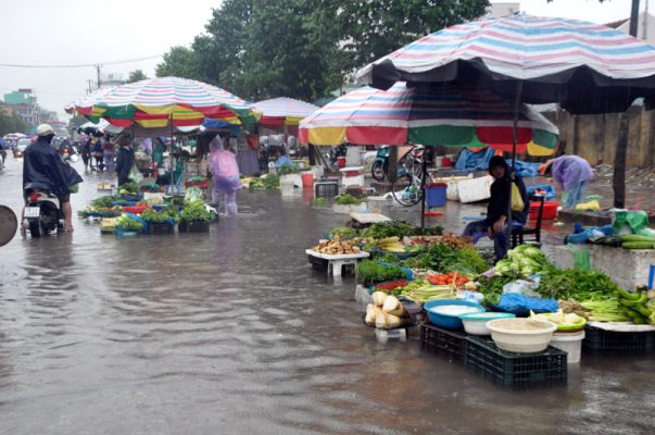 Thực Phẩm Mùa Ngập: Chọn Gì An Toàn Cho Gia Đình